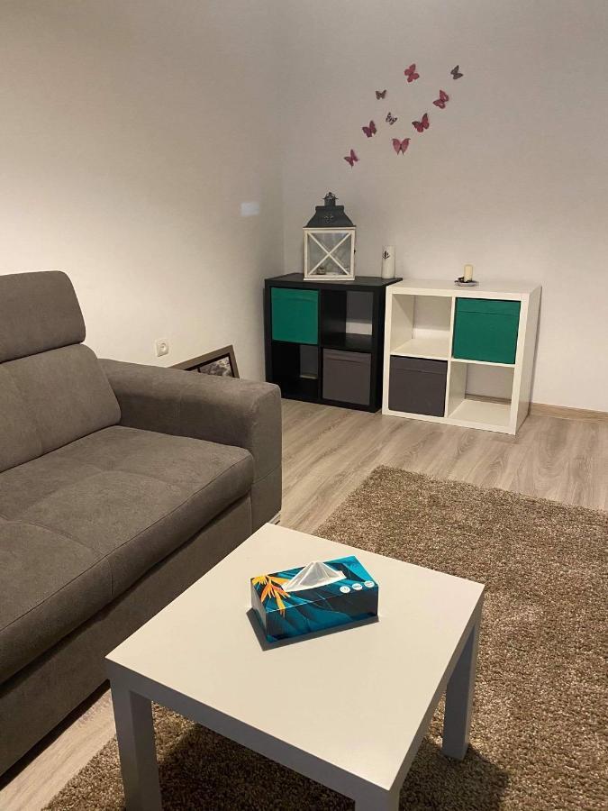 Sweet Appartament Тімішоара Екстер'єр фото